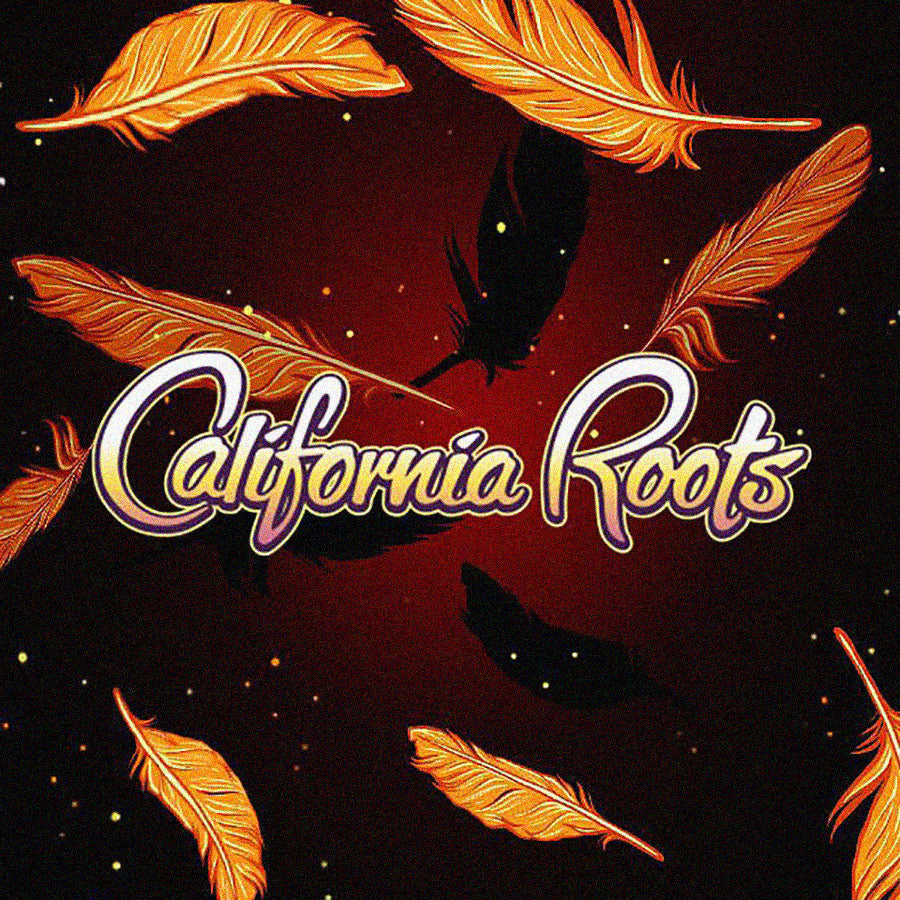 From Santa Cruz to Monterey