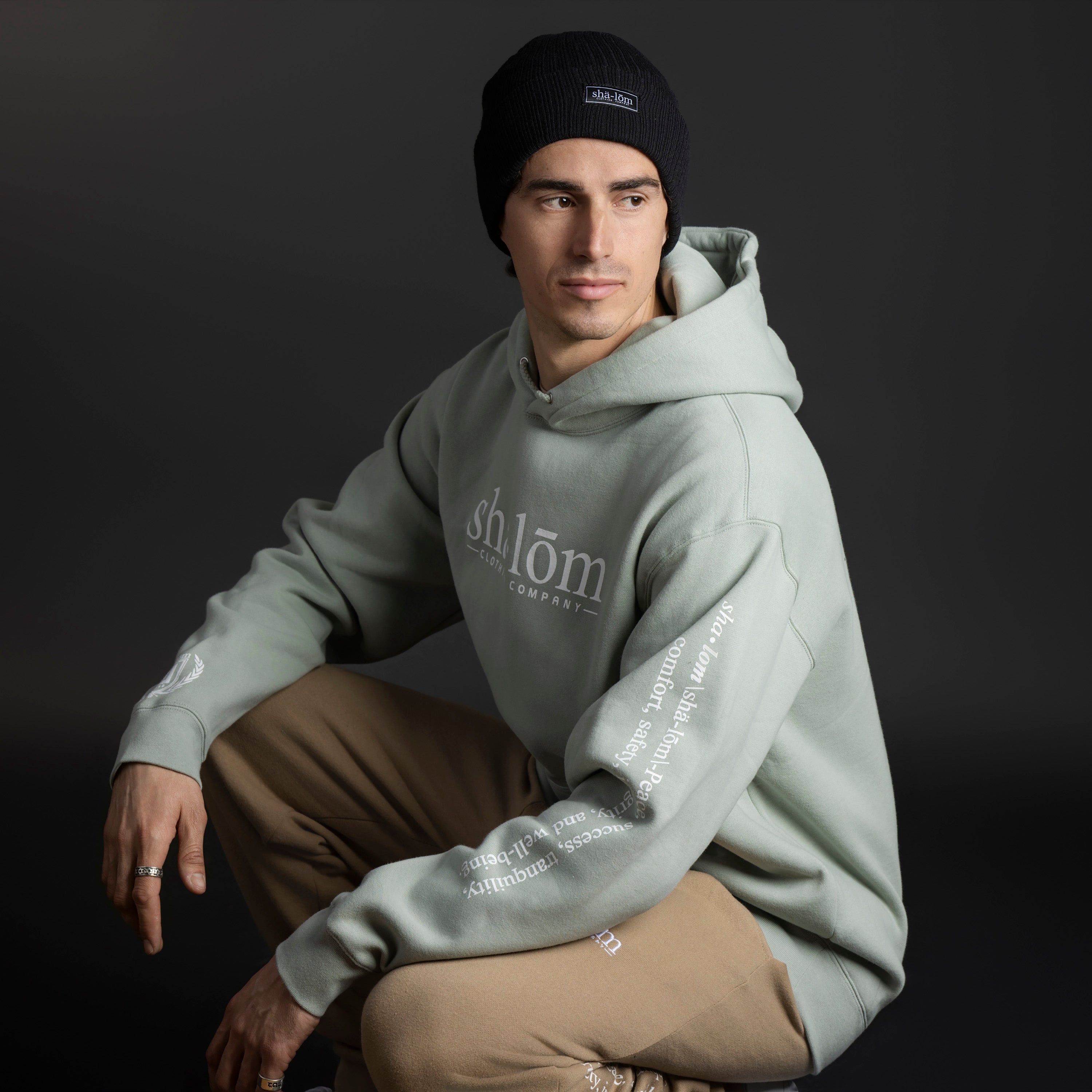 DEFINITION HOODIE SAGE